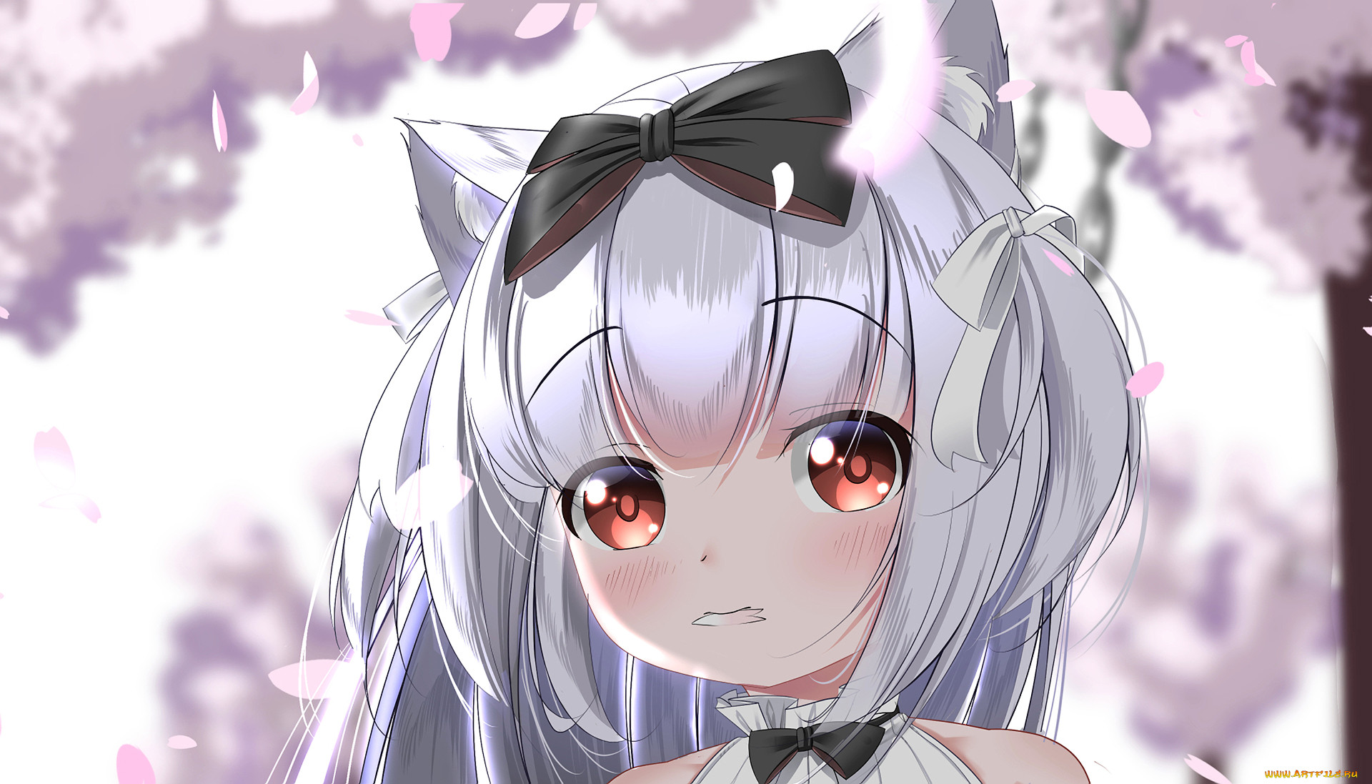 , azur lane, , , 